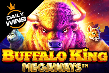 buffalo-king